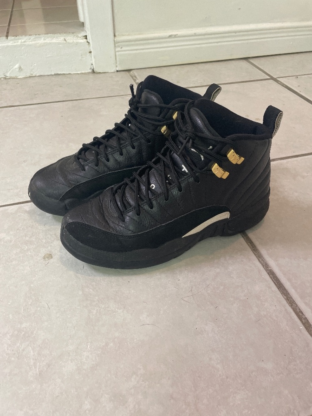 Air Jordan 12 the master
